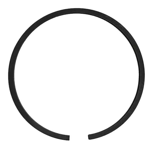 648005P005 TCM Ring-Piston