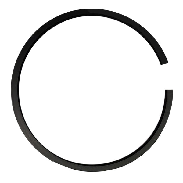 648005P010 TCM Ring-Piston