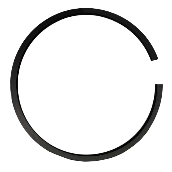648009P005 TCM Ring-Piston