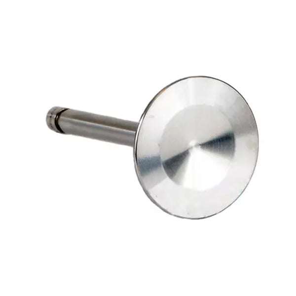 SA539988 Superior Valve, Int.