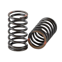 SA625957 Superior Spring, Valve