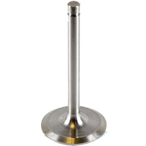 SA646459 Superior Valve, Int.