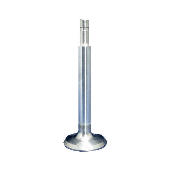 SA65160 Superior Valve