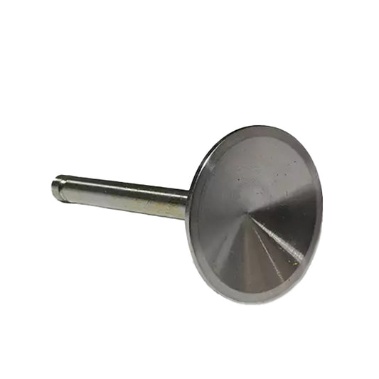 SL73938 Superior Valve, Int.