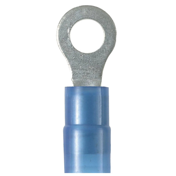14-16AWG TE PIDG Ring Tongue Terminal 1.25-2MM .79MM 321045